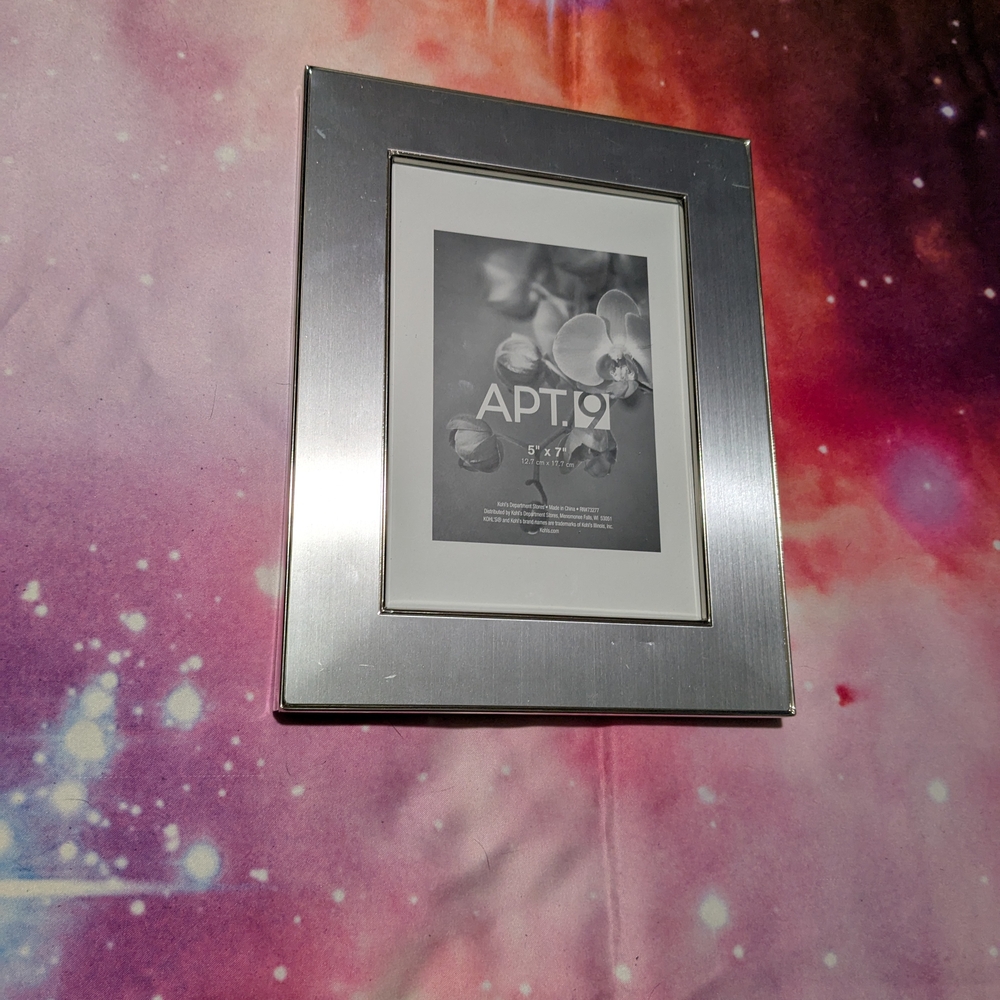 Apt. 9 Silver Picture Frame